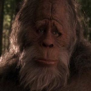 Meet your Posher, Zack